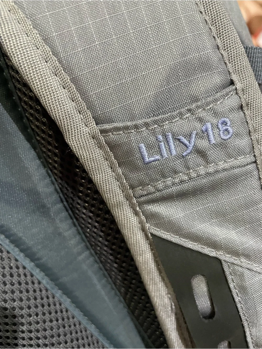 L.L. Bean Blue and Gray Lightweight Daypack Backpack Lily 18 back to school